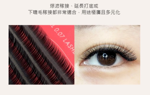 Taiwan JOVISA Yates Royal 0.07 Series Eyelashes J 0.07 Volume 14MM length