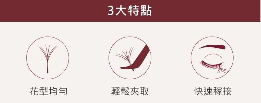 6D 多根稼接 -【燦光系列4D 0.07】睫毛 CC系列▸黑色◂8+9mm
