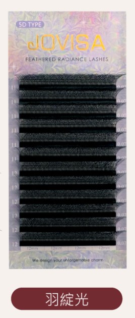 6D 多根稼接 -【燦光系列5D 0.07】睫毛 D系列▸黑色◂9+10mm