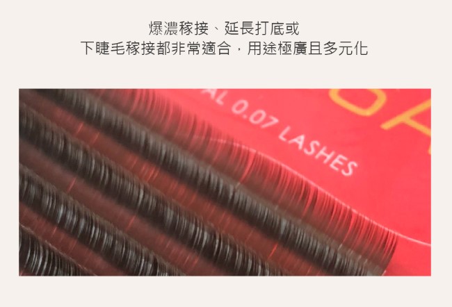 台灣 JOVISA 邑軒 皇家0.07咖啡色系列睫毛 C 捲度 10MM 長度【 咖啡色】